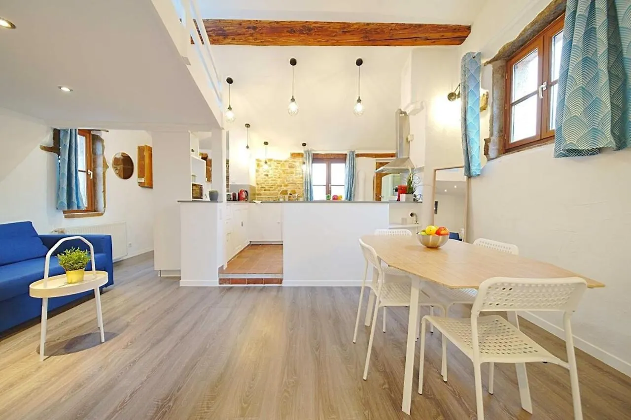 The Fernand-Panoramic View-Sathonay-Terreaux Apartment Lyon