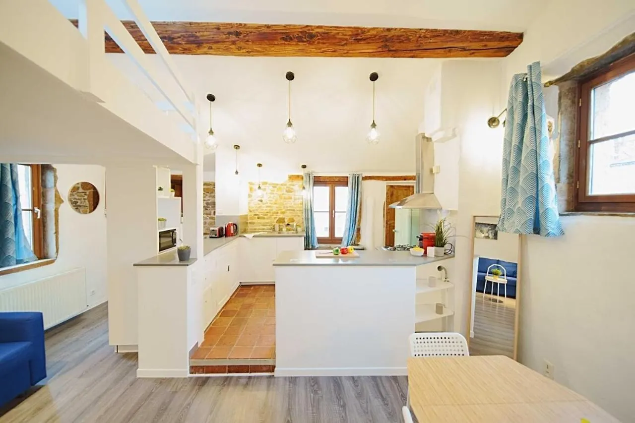 The Fernand-Panoramic View-Sathonay-Terreaux Apartment Lyon 0*,