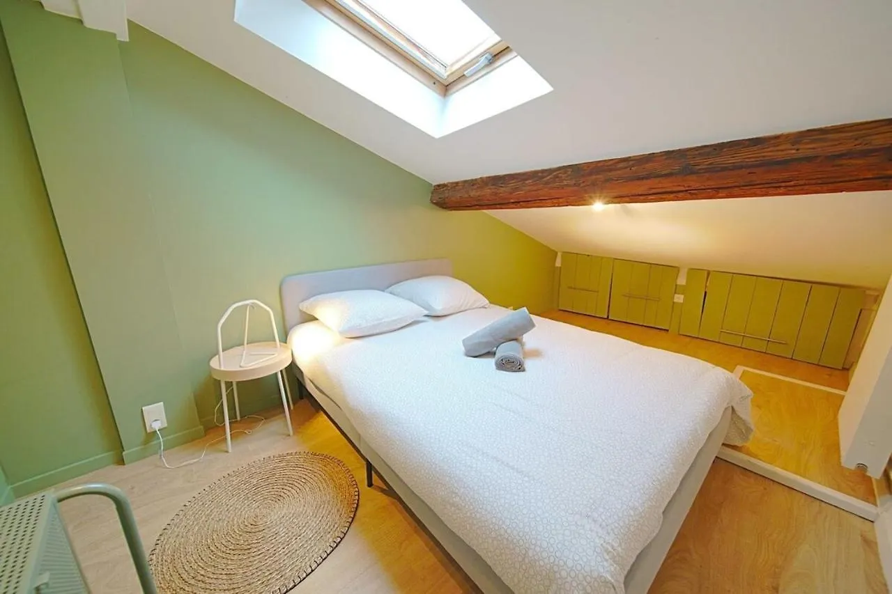 The Fernand-Panoramic View-Sathonay-Terreaux Apartment Lyon